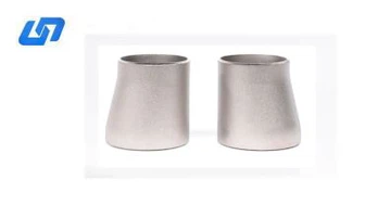 Reduktor mimośrodowy tytanowy